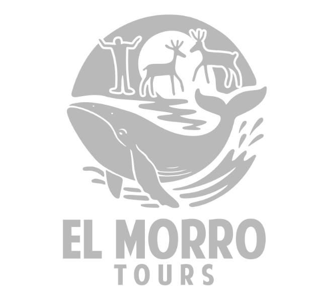 Screenshot 2026-04-07 2.24.52 PM-modified